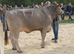 151024LU_OB_Schau 103